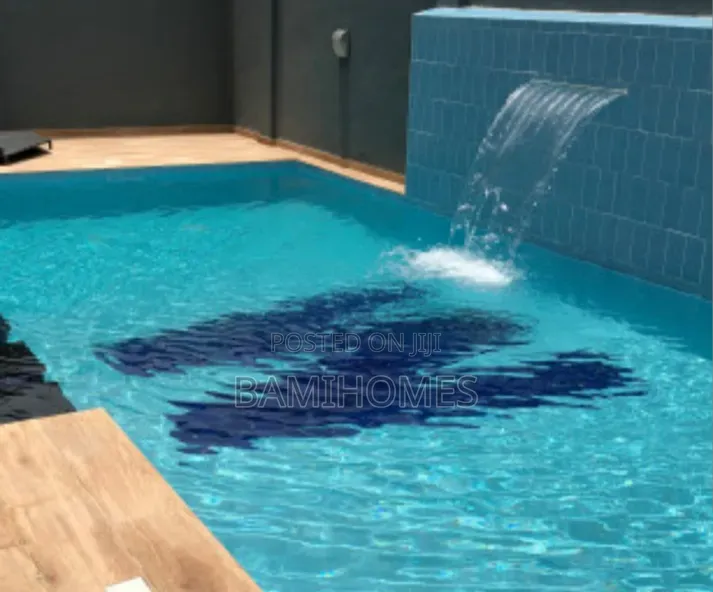 Professional Swimming Pool Cleaner