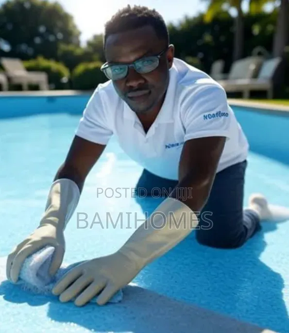 Professional Swimming Pool Cleaner