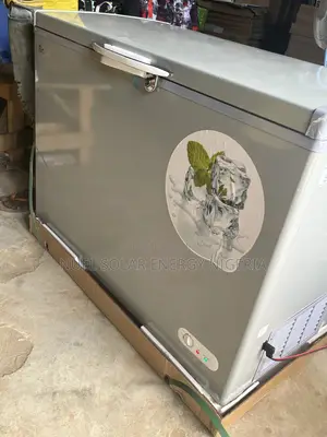 Bona Dc Solar Freezer 318l (24v)