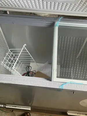 Bona Dc Solar Freezer 318l (24v)