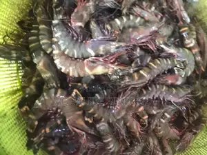 Aqualide Seafood