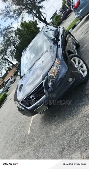 Lexus RX 2012 Gray