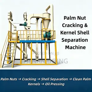 Palm Kernel Nut Shell Separator Cracking And Separating Machine Sale