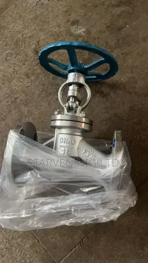 Stainless Steam Valve