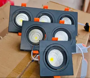Double and Single Ceiling Spot Light