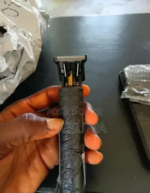 Vintage Clipper
