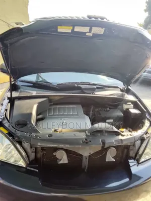 Lexus RX 350 2007 Gray