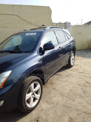 Lexus RX 350 2007 Gray