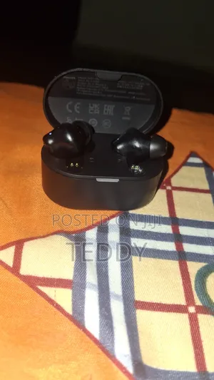 Philip True Wireless Headphone