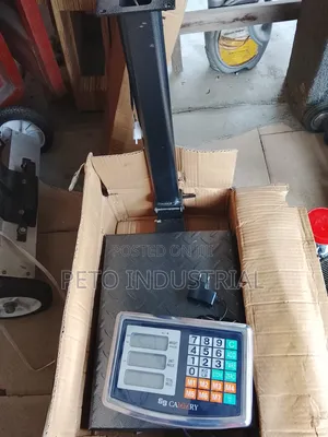 Electronic Platform Scale