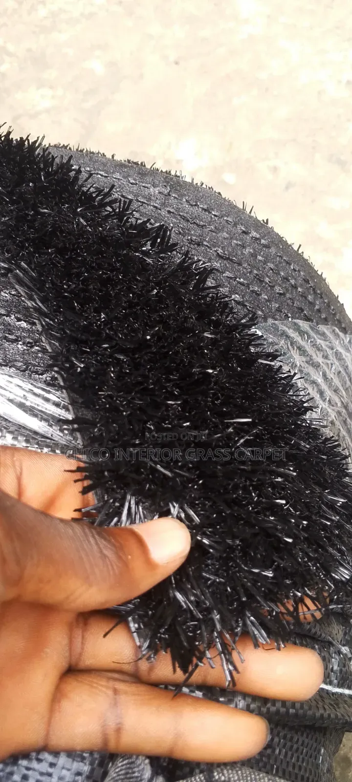 Black Grass