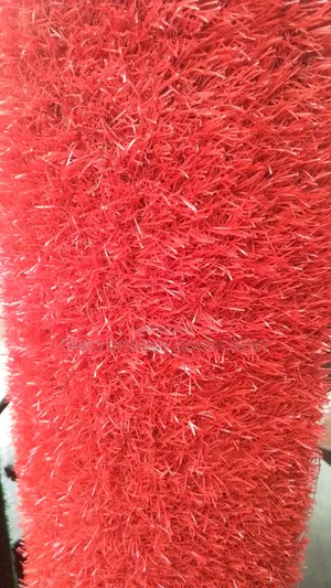 Ever Green Grass