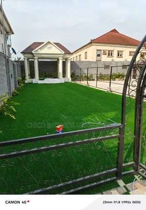 Playing Ground Grass Carpet