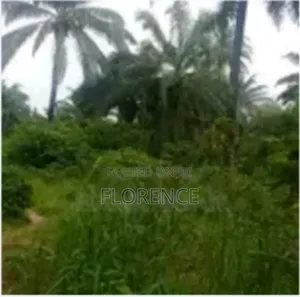 Land In Ikot Ekpene For Sell, Close To The Main Road