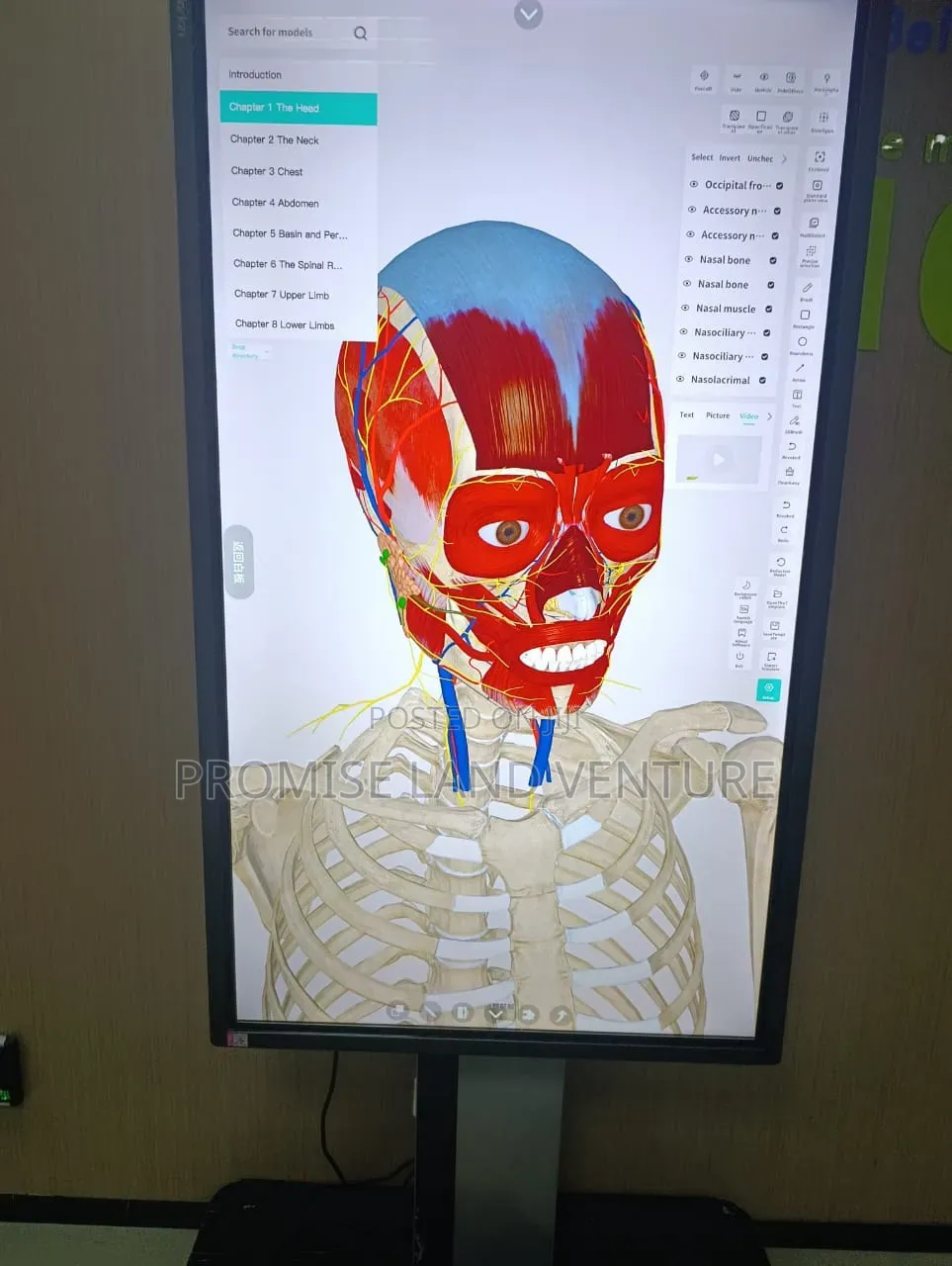 3d Anatomy Systeml