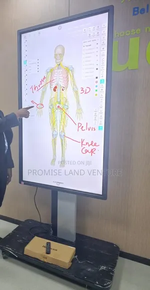 3d Anatomy Systeml