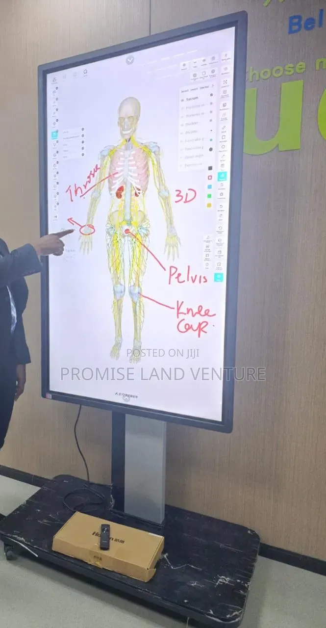 3d Anatomy Systeml