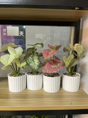 6 Flowers With Vase Home Decor