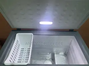 Skyrun 200l Chest Freezer
