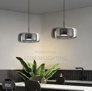 Single Led Drop Light
