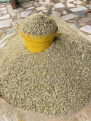 Healthy Breadfruit (Ukwa) At An Affordable Price