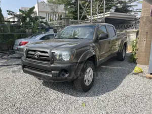Toyota Tacoma 2010 Gray