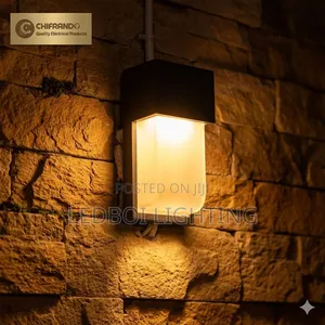 Wall Lamp (Inside and Outside Fence)