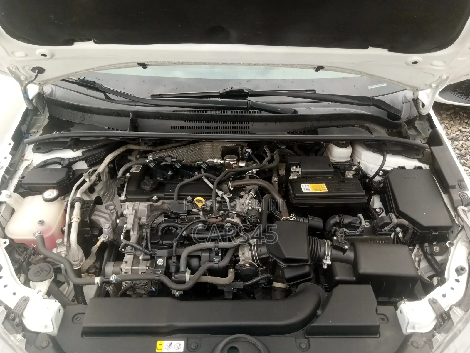 Toyota Corolla 2022 White