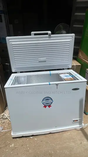 Haier Thermocool Freezer
