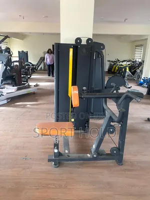 Commercial Back Extension