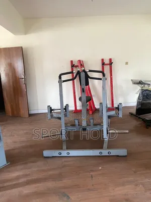 Pendulum Squat Machine