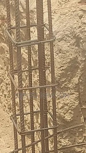 Professional Builder