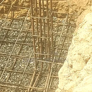 Professional Builder