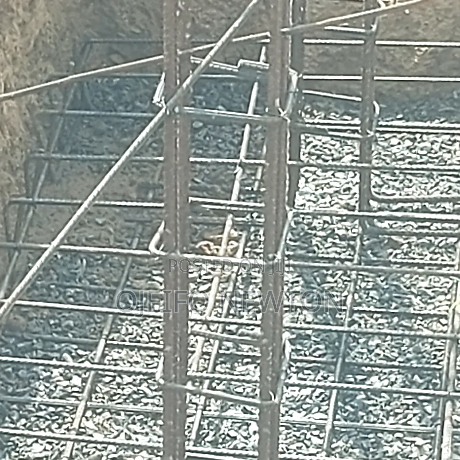 Professional Builder