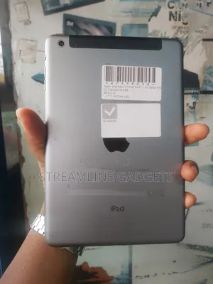 Apple iPad mini 2 32 GB Gray