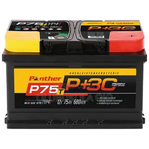 Panther Car Battery