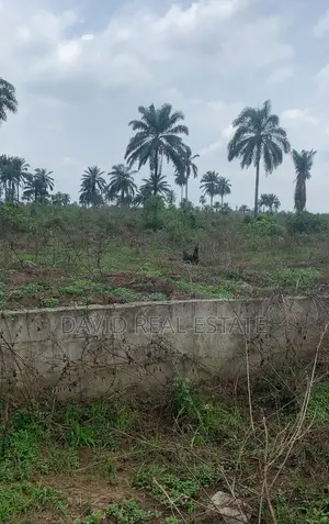 Verified Buy Build Land For Sale In Igwuruta , Ph — 465sqm