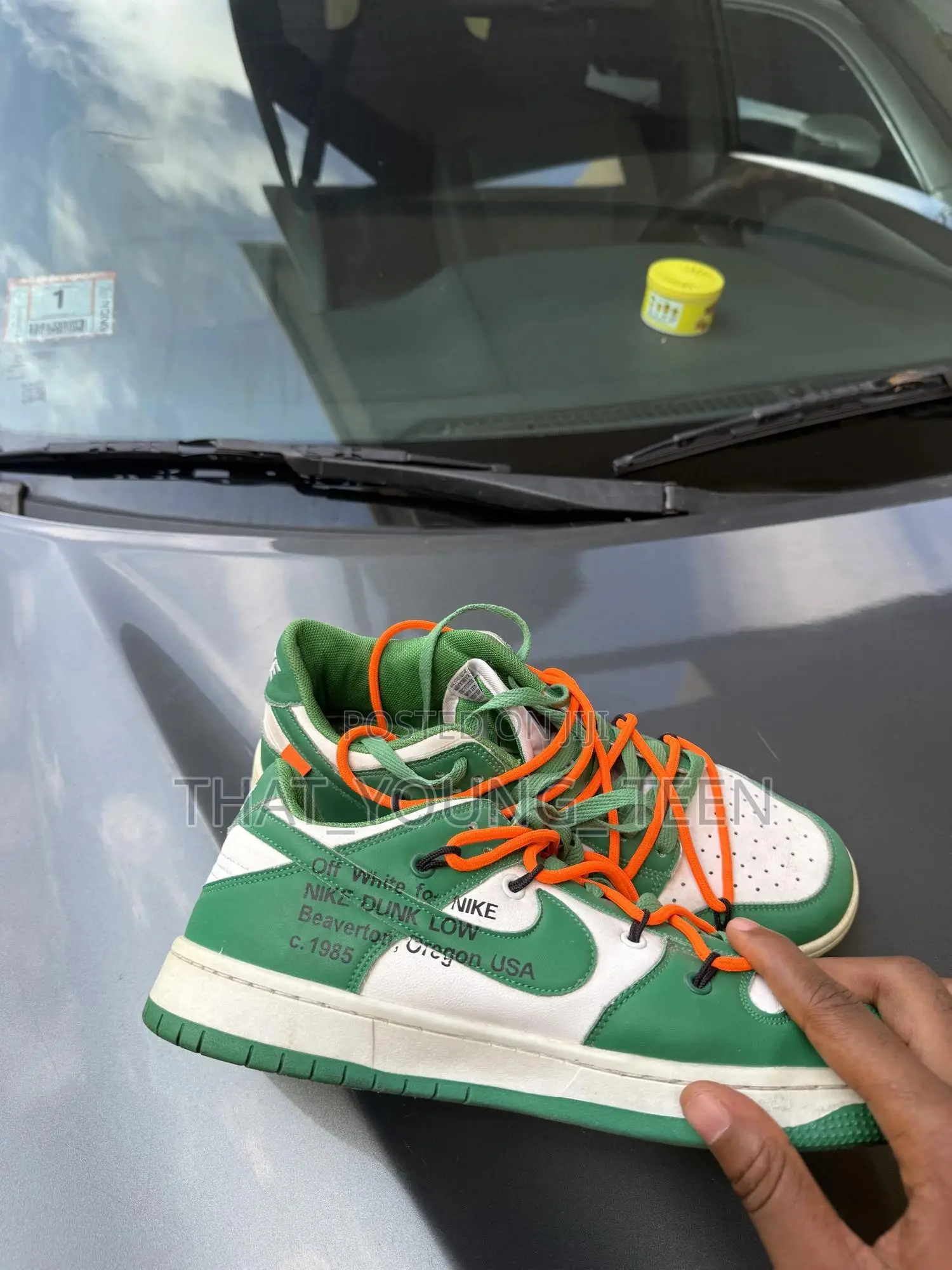Nike Sb Dunk Low