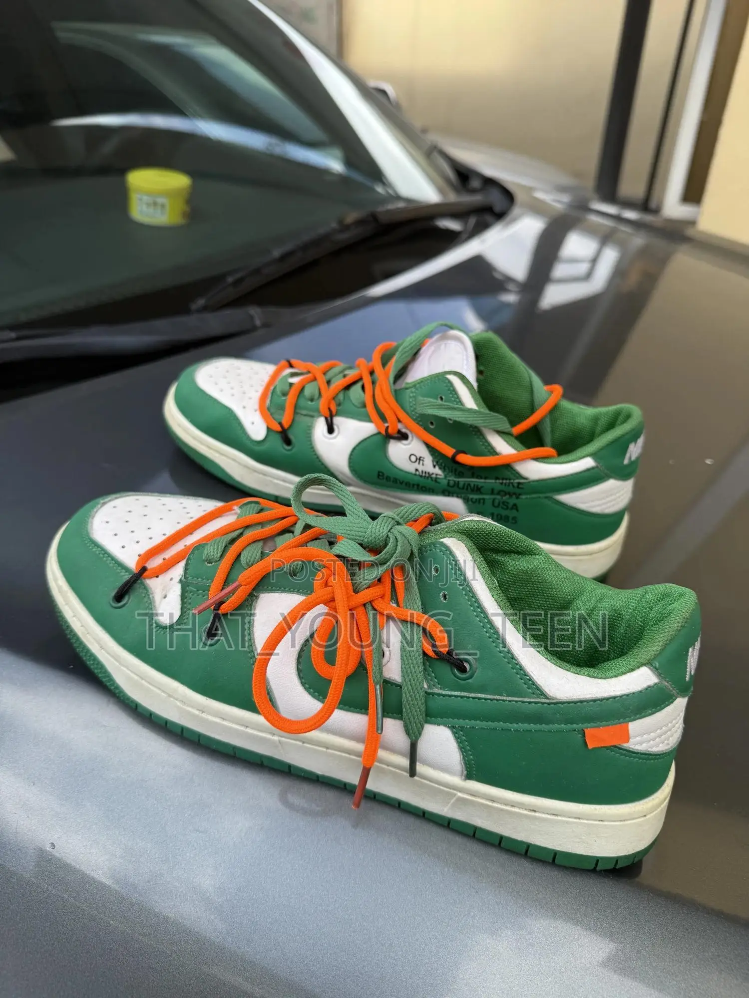 Nike Sb Dunk Low