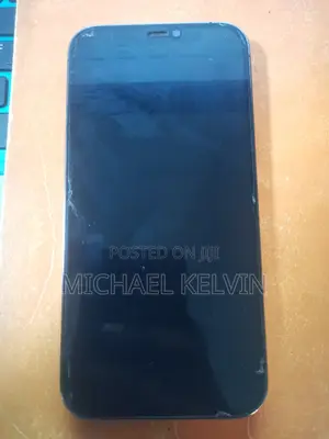Apple iPhone 12 Pro 128 GB Gray