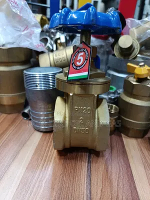 Brass Venus Gate Valve