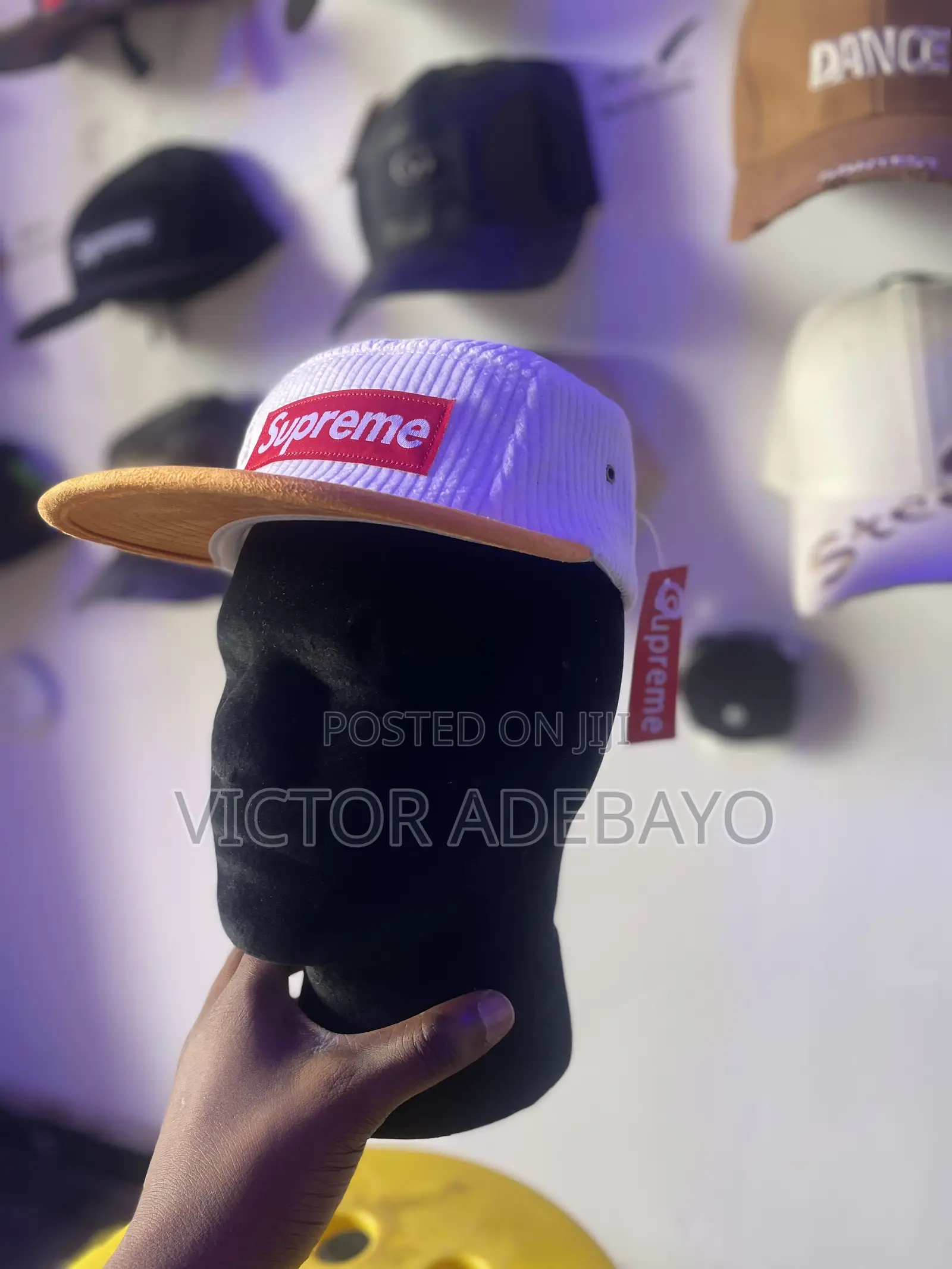 Supreme Panel Cao