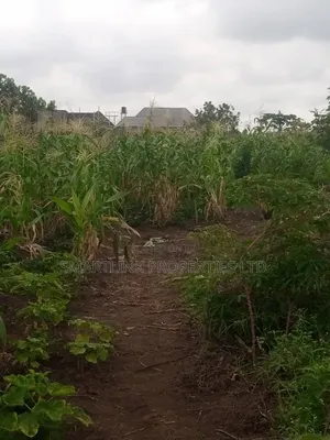 2 Half Plots of Land for Sale in Portharcourt