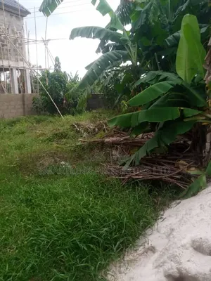 Half Plot Of Land For Sale In Portharcourt