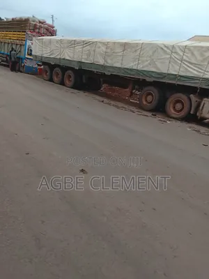 Both Dangote and Bua Cement Are Available