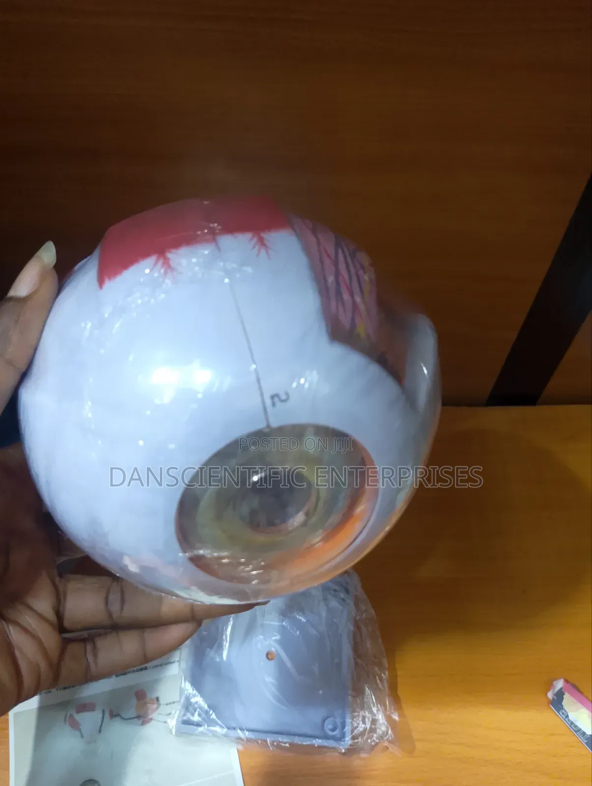 Human Eye Model