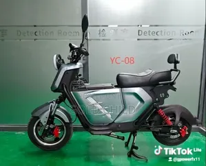 New Qlink Legacy 250 2025