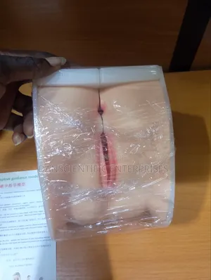 Female B-Y Stimulation Teaching Model