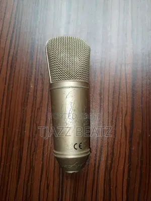 B1 Behringer Microphone