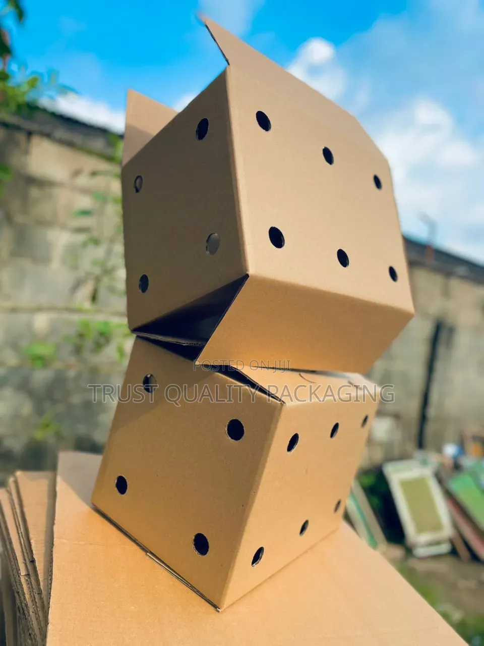 Fruit and Vegetables Boxes
